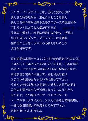 枯れないお花 赤バラ２本のプリザーブドフラワー ボックス入り 花言葉は この世界は自分と貴方だけ 結婚２周年記念日や告白 プロポーズに最適 花言葉tag無料 Rose Of Shinsaibashi