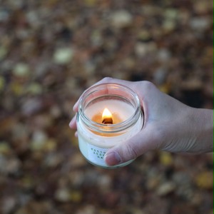 Bzlemonビージーレモンの香り ｍ Soywax100 の天然木芯キャンドル ソイワックスキャンドル ソイキャンドル アロマキャンドル Dotto Candle