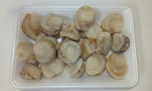 北海道産　ボイルホタテ　５００g　