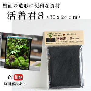 壁に生えるコケの表現に 活着君sサイズ 30ｘ24cm 苔テラリウム専門ショップ道草
