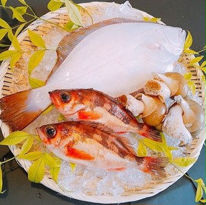 酒井まゆみ Note