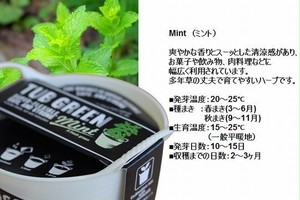 栽培キット ミント Mag Online Store