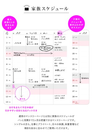 Y Style ワーキングマザーの手帳 21年 1月始まり 3月終わり B6 グレージュ 初回限定カラー 家族 ファミリー マンスリー スケジュール帳 かぞく収納公式ストア