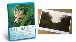 生きとし生けるものオフィシャルショップ