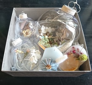 バブルボールシトラスガーデン