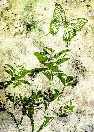 かっこいい背景素材集1 著作権フリー素材集 商用可 Starwalker Studio Dvd版 クラウド版