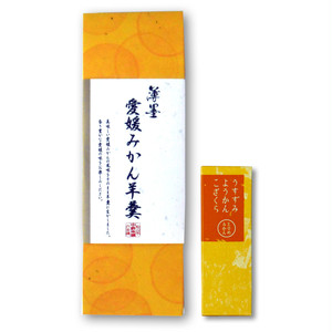 薄墨愛媛みかん羊羹 4個入 薄墨愛媛みかん羊羹 4個入