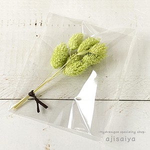 パステル花材 ポアプランツ カラードライフラワー 自然素材こわけ専門店 あじさいや