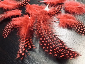  (送料無料)【アクセサリー パーツ 羽 フェザー 手芸 アクセサリ ー手芸