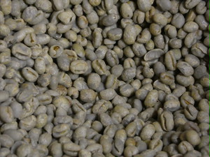生豆　ブラジルサントス ピーベリー　１KG　　（税込価格）