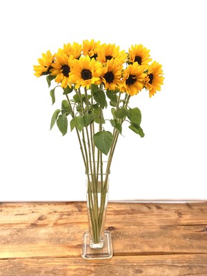 元気をチャージしよう 初夏のビタミンフラワー 北海道jaいわみざわ産 ヒマワリ 本 ロスフラワー救済 Jp Farmers Com