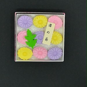 園の菊 園の菊