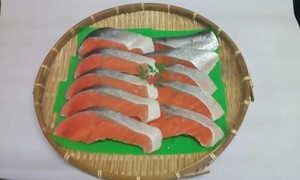 美味しいチリ産銀鮭厚切り１０枚セット　驚きの美味しさ！