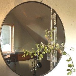 PIZZA ミラゲリータ /ストレート