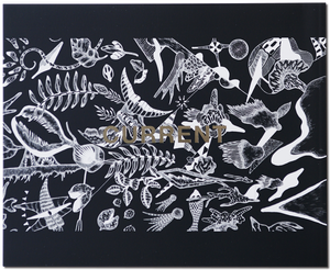 「CURRENT」河野愛 作品集