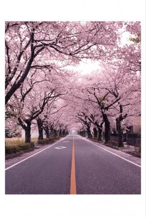 商品の画像
