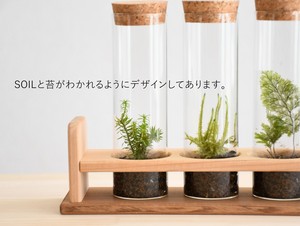木製試験管立て ４本用 苔テラリウム専門ショップ道草