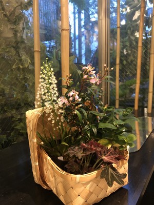京花便り・山野草竹籠ギフト