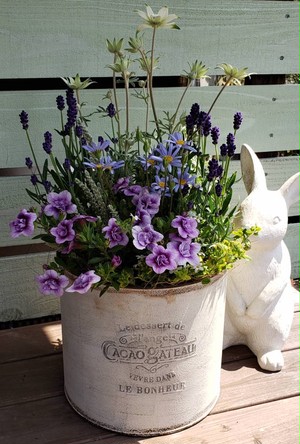 irodori からつ 四季の寄せ植え〜パープル系(中サイズ)〜※お花の種類・容器はお任せ下さい! irodori からつ 四季の寄せ植え〜パープル系(中サイズ)〜※お花の種類・容器はお任せ下さい!