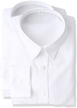 サイズl Jpcs セシール ブラウス 形態安定シャツ 2枚組 レギュラーカラー 長袖 An 974 レディース Az Japan Classic Store