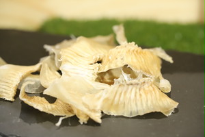 【限定】サメ胸ビレ 【限定】サメ胸ビレ