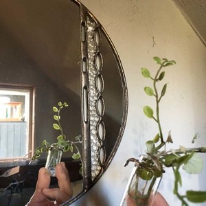 PIZZA ミラゲリータ /ピコ