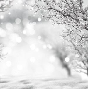 リング 冬風 雪 Scenery シーナリー スタイリッシュ かわいい メンズ レディース オリジナルデザイン シルバーアクセサリー