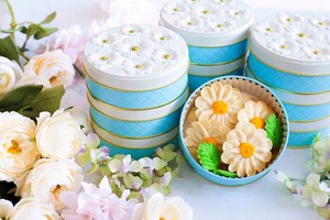 お花のぼうろ マーガレット Flower Picnic Cafe Hakodate