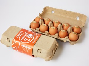 赤いラヂウム玉子（10ヶパック入）
