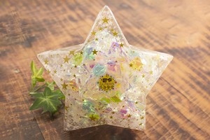 星こんぺいとう(大) (Hoshikonpeito Large) 星こんぺいとう(大) (Hoshikonpeito Large)
