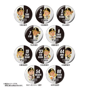 19阪神タイガース マッカノーズ 缶バッジ シークレット キャラスポット