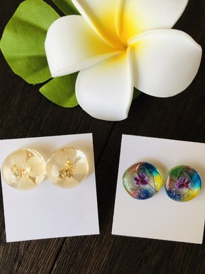 レジンイヤリング・ピアス