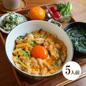 八ケ岳鳥幸地鶏の絶品親子丼ミールキット 親子丼鍋付き(5人前) 八ケ岳鳥幸地鶏の絶品親子丼ミールキット 親子丼鍋付き(5人前)
