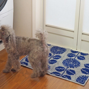 バスマット 45 60cm 日本製 お風呂マット お風呂 バス用マット マット 北欧 雑貨 レディース 花柄 かわいい おしゃれ オシャレ シリーズ 抗菌 洗える 防臭 清潔 抗菌防臭 滑り止め オススメ Maison Blanche メゾンブランシュ