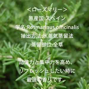 活 ローズマリー レモン精油 脳を活性化 活力 ソフィアフィトセラピーショップ