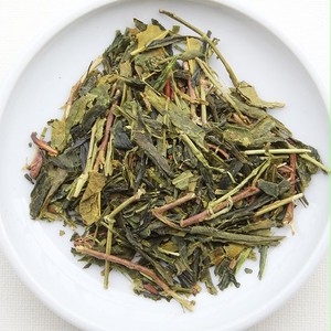 嘉兵衛水出し番茶