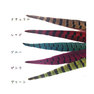 キジ羽根【2本セット】