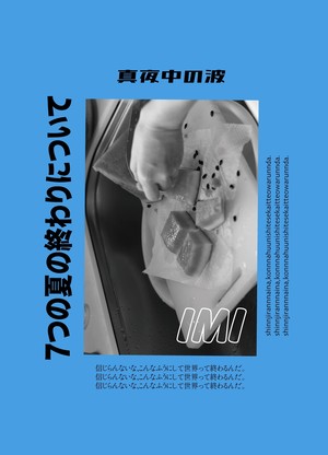 BOOK"manami tanaka/7つの夏の終わりについて"*委託販売