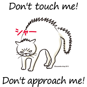 ブサ猫tシャツ シャー猫 レディース 白ほか全5色 小さな小さな雑貨店 ぶさねこかん