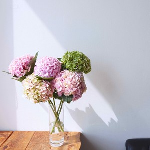 山形県 アキバナーセリー ハイドランジア オーシャンアンティーク 5本 Jp Farmers Com