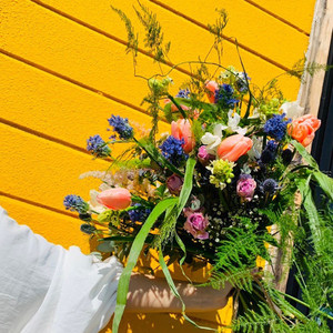 武田 彩花 Message Flower Box S Flower Creation Room Shop