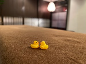 ギフトチケット東京 ギフトチケット東京