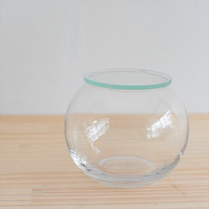 ガラス容器 インテリアボールm 口径80ｘｈ95ｍｍ 適度な通気で丈夫に育つ 苔テラリウム専門ショップ道草