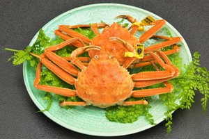 越前せいこがに 小 2杯セット 120g〜150g 越前せいこがに 小 2杯セット 120g〜150g