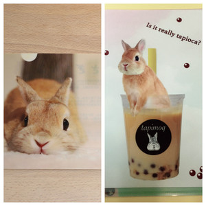 モキュ様 A5クリアファイル うさぎセレクトショップ森音 東京神田のうさぎ雑貨