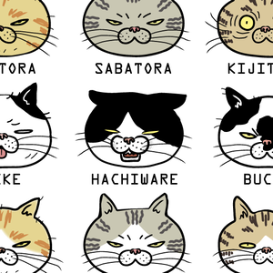 ブサ猫tシャツ 猫柄15 レディース 白他全5色 小さな小さな雑貨店 ぶさねこかん