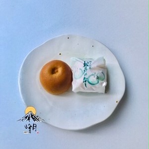 松戸のなし 松戸のなし