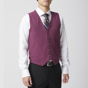 Men ベスト ジレ ニットベスト ビジネス カジュアル パープル 040 Mira ミラオンラインレンタル