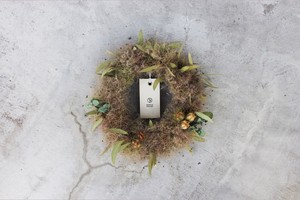 Smoketree wreathe | スモークツリーリース