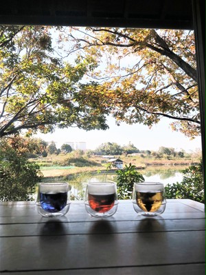 ハーブティー各種(5袋入り)